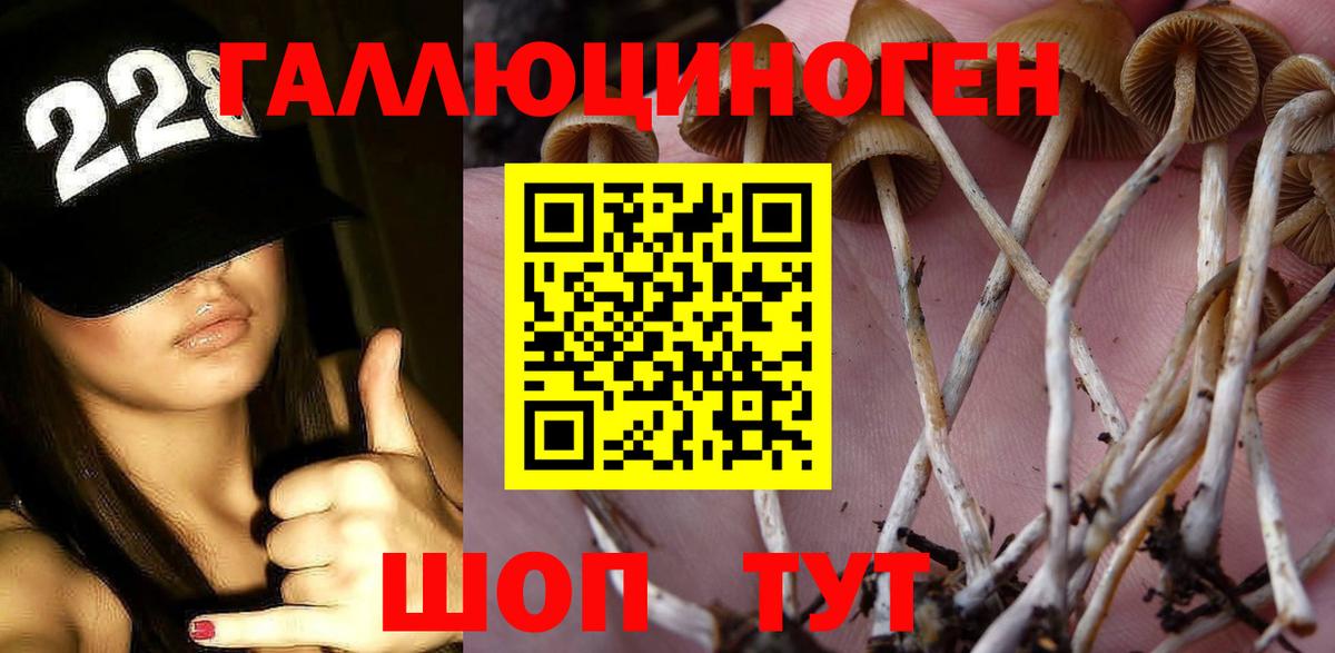Псилоцибиновые грибы прущие грибы Сатка